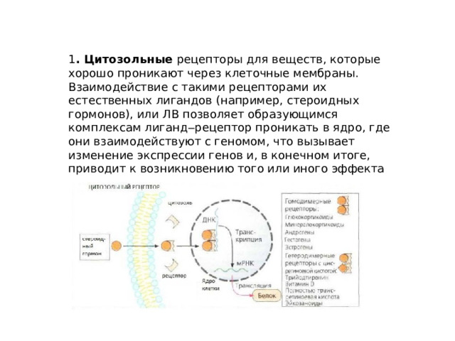 1 . Цитозольные рецепторы для веществ, которые хорошо проникают через клеточные мембраны. Взаимодействие с такими рецепторами их естественных лигандов (например, стероидных гормонов), или ЛВ позволяет образующимся комплексам лиганд‒рецептор проникать в ядро, где они взаимодействуют с геномом, что вызывает изменение экспрессии генов и, в конечном итоге, приводит к возникновению того или иного эффекта в целом организме. 
