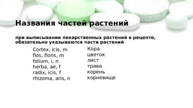 Названия частей растений   при выписывании лекарственных растений в рецепте, обязательно указываются части растений Кора цветок лист трава корень корневище Cortex, icis, m flos, floris, m folium, i, n herba, ae, f radix, icis, f rhizoma, aris, n 