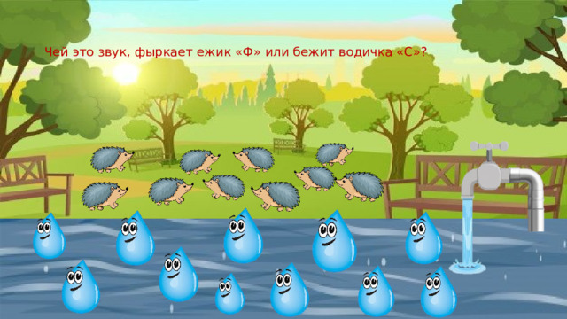 Чей это звук, фыркает ежик «Ф» или бежит водичка «С»? 