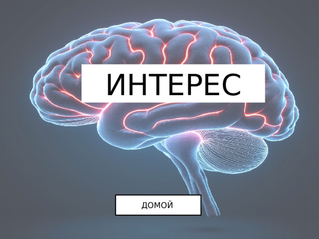 ИНТЕРЕС ДОМОЙ 