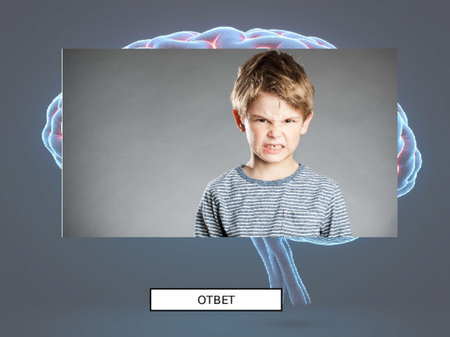 ОТВЕТ 