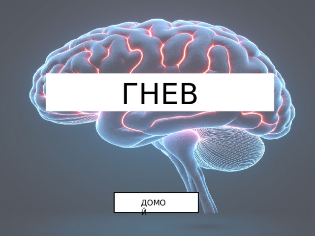 ГНЕВ ДОМОЙ 