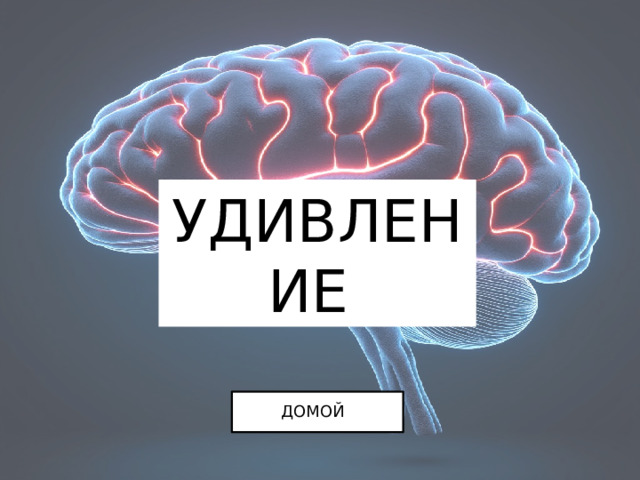 УДИВЛЕНИЕ ДОМОЙ 