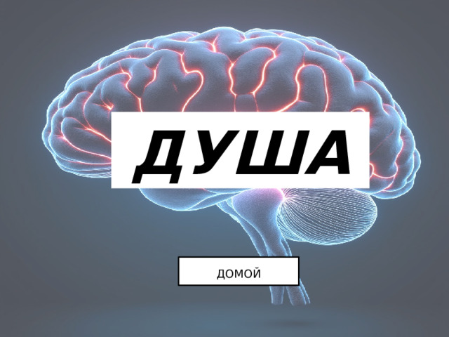 ДУША ДОМОЙ 