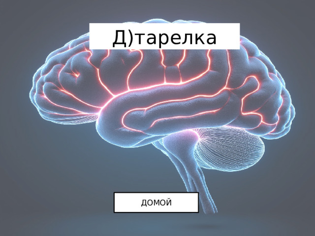 Д)тарелка ДОМОЙ 