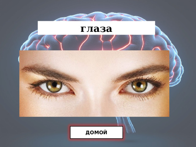 глаза ДОМОЙ 