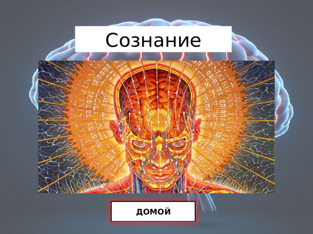 Сознание ДОМОЙ 