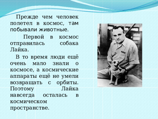  Прежде чем человек полетел в космос, там побывали животные.  Первой в космос отправилась собака Лайка.  В то время люди ещё очень мало знали о космосе, а космические аппараты ещё не умели возвращать с орбиты. Поэтому Лайка навсегда осталась в космическом пространстве. 