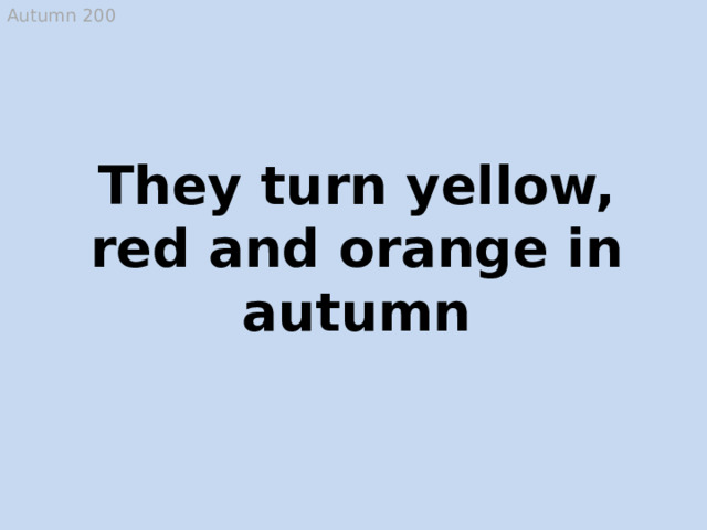 Autumn 200 They turn yellow, red and orange in autumn Trees, leaves  