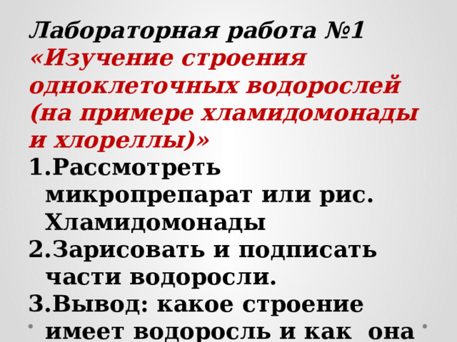Лабораторная работа №1 «Изучение строения одноклеточных водорослей (на примере хламидомонады и хлореллы)» Рассмотреть микропрепарат или рис. Хламидомонады Зарисовать и подписать части водоросли. Вывод: какое строение имеет водоросль и как она приспособилась к среде обитания. 