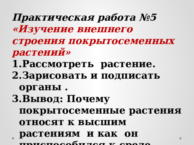 Практическая работа №5 «Изучение внешнего строения покрытосеменных растений» Рассмотреть растение. Зарисовать и подписать органы . Вывод: Почему покрытосеменные растения относят к высшим растениям и как он приспособился к среде обитания.  