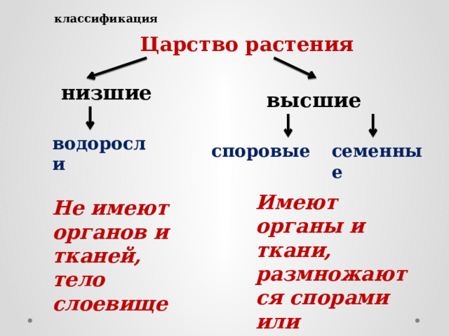классификация Царство растения низшие высшие водоросли споровые семенные Имеют органы и ткани, размножаются спорами или семенами Не имеют органов и тканей, тело слоевище 