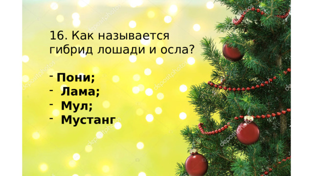 16. Как называется гибрид лошади и осла? Пони;  Лама;  Мул;  Мустанг    
