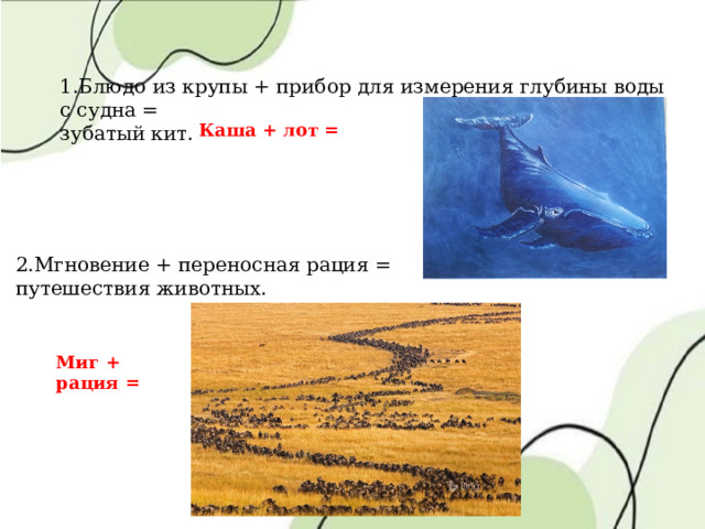 Миг + рация = 1.Блюдо из крупы + прибор для измерения глубины воды с судна = зубатый кит. Каша + лот = 2.Мгновение + переносная рация = путешествия животных. 