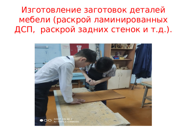 Изготовление заготовок деталей мебели (раскрой ламинированных ДСП, раскрой задних стенок и т.д.).   