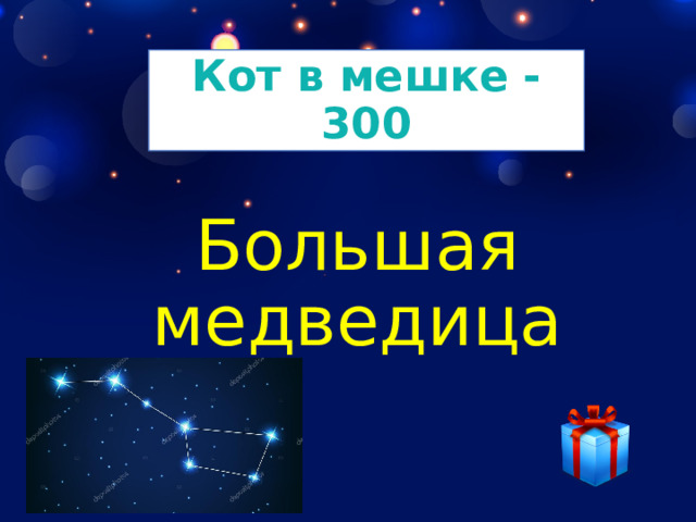 Кот в мешке - 300 Большая медведица 