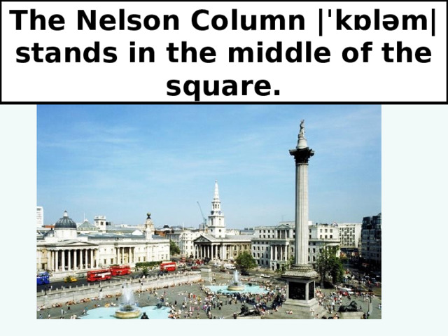 The Nelson Column |ˈkɒləm| stands in the middle of the square. 