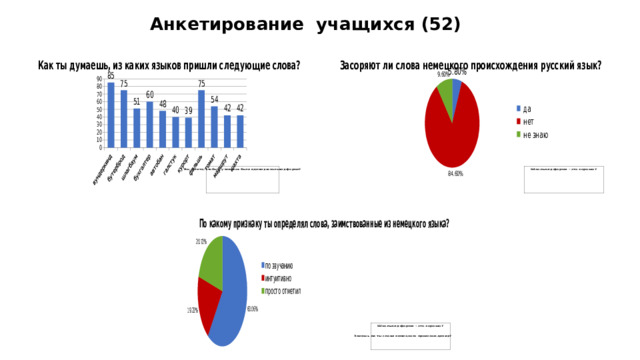 Анкетирование учащихся (52)  