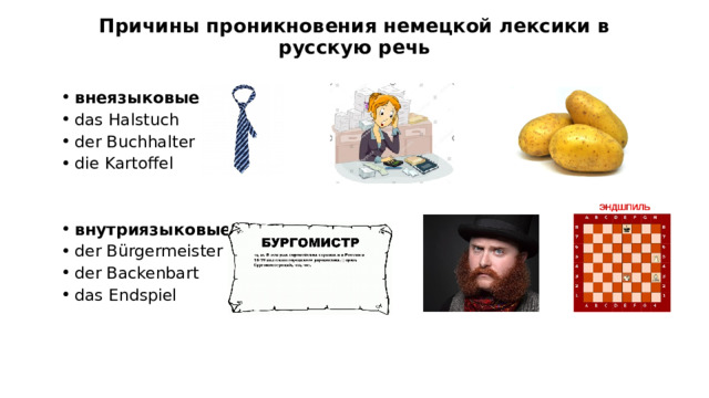 Причины проникновения немецкой лексики в русскую речь  внеязыковые  das Halstuch der Buchhalter die Kartoffel внутриязыковые der Bürgermeister der Backenbart das Endspiel  