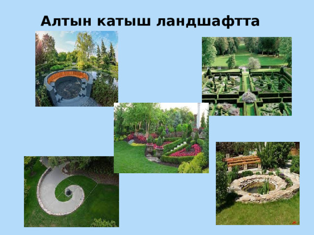 Алтын катыш ландшафтта 