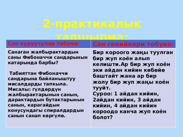 2-практикалык тапшырма: Сан куруучулар тобуна: Сан генийлери тобуна: Санаган жалбырактардын саны Фибоначчи сандарынын катарында барбы?   Бир короого жаңы туулган бир жуп коён алып келишти.Ар бир жуп коён эки айдан кийин көбөйө баштайт жана ар бир жолу бир жуп жаңы коён тууйт. Суроо: 1 айдан кийин, 2айдан кийин, 3 айдан кийин, 4 айдан кийин короодо канча жуп коён болот?  Табияттан Фибоначчи сандарына байланыштуу мисалдарды тапкыла. Мисалы: гүлдөрдүн жалбырактарынын санын, дарактардын бутактарынын санын, карагайдын конусундагы спиралдардын санын санап көргүлө.   