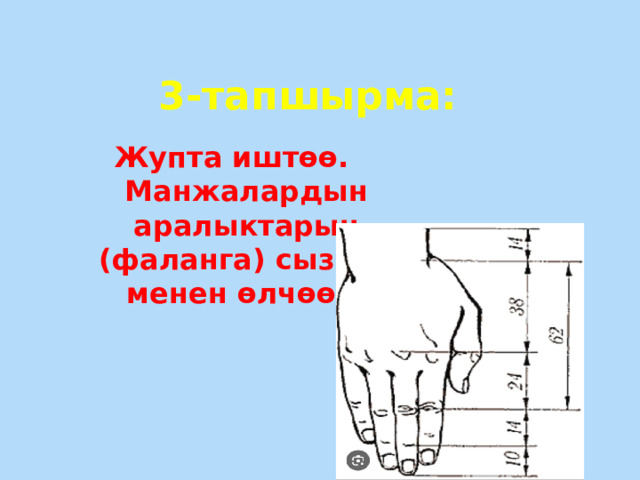 3-тапшырма: Жупта иштөө. Манжалардын аралыктарын (фаланга) сызгыч менен өлчөө . 