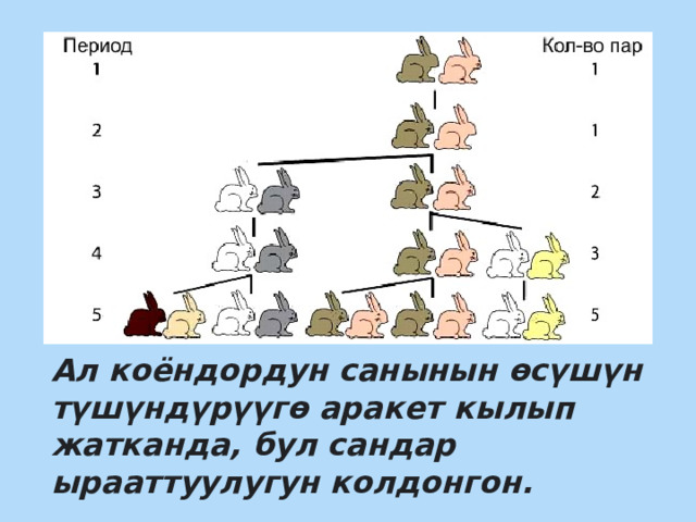 Ал коёндордун санынын өсүшүн түшүндүрүүгө аракет кылып жатканда, бул сандар ырааттуулугун колдонгон. 