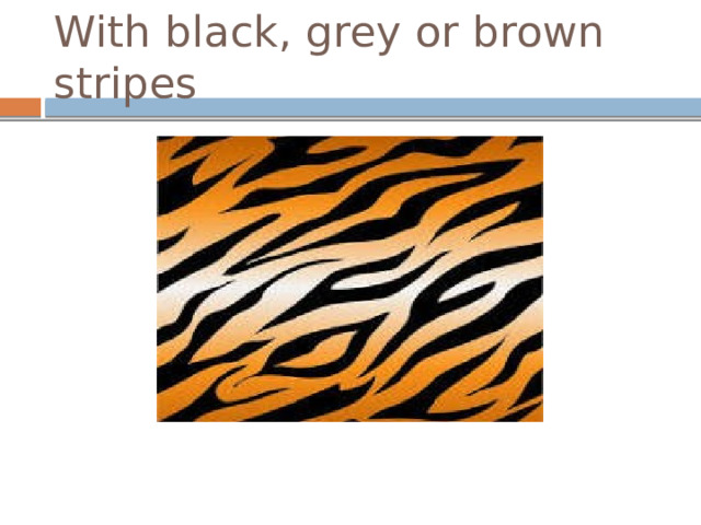 With black, grey or brown stripes 