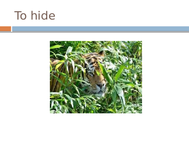 To hide 