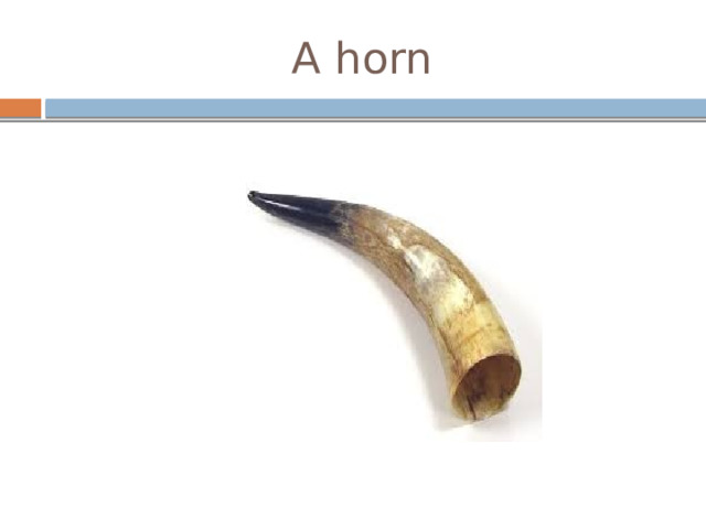 A horn 