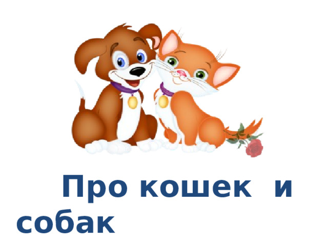  Про кошек и собак 