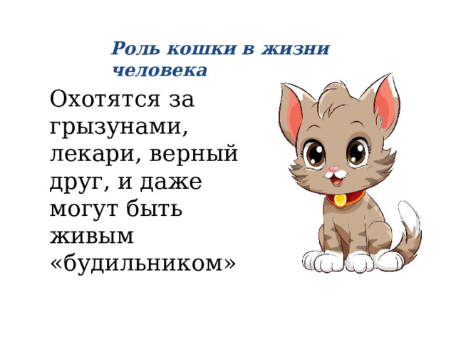 Роль кошки в жизни человека Охотятся за грызунами, лекари, верный друг, и даже могут быть живым «будильником» 