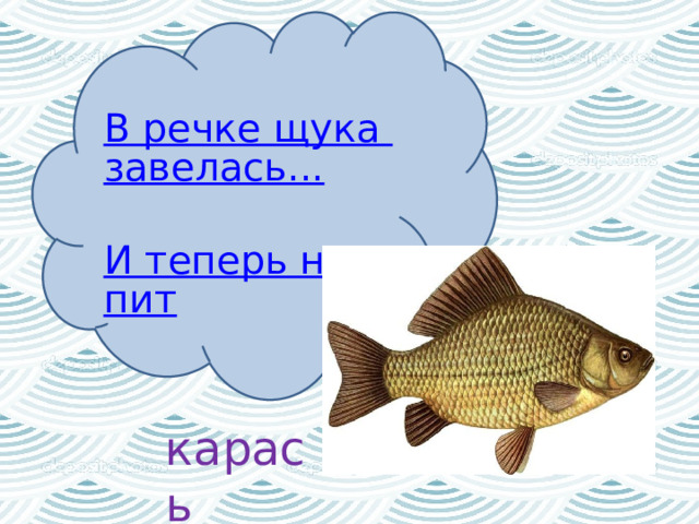 В речке щука завелась...  И теперь не спит   карась 