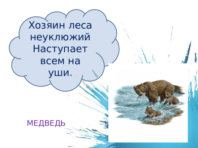 Хозяин леса неуклюжий  Наступает всем на уши. МЕДВЕДЬ 
