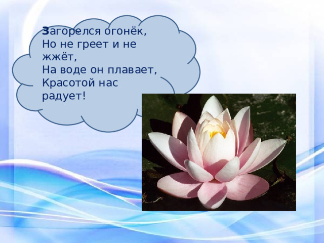  З агорелся огонёк, Но не греет и не жжёт, На воде он плавает, Красотой нас радует! 