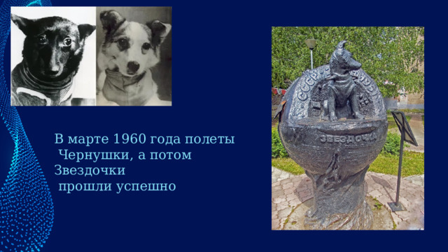 В марте 1960 года полеты  Чернушки, а потом Звездочки  прошли успешно 