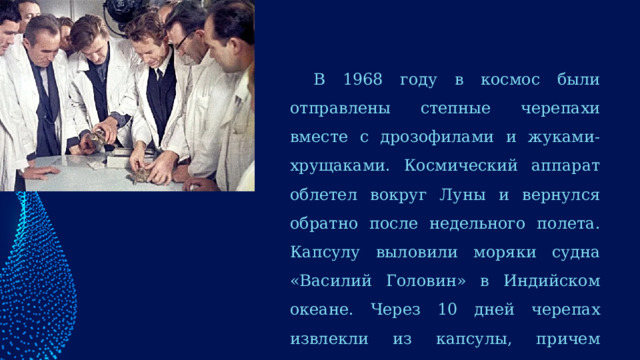 В 1968 году в космос были отправлены степные черепахи вместе с дрозофилами и жуками-хрущаками. Космический аппарат облетел вокруг Луны и вернулся обратно после недельного полета. Капсулу выловили моряки судна «Василий Головин» в Индийском океане. Через 10 дней черепах извлекли из капсулы, причем черепахи хорошо ели и хорошо двигались 