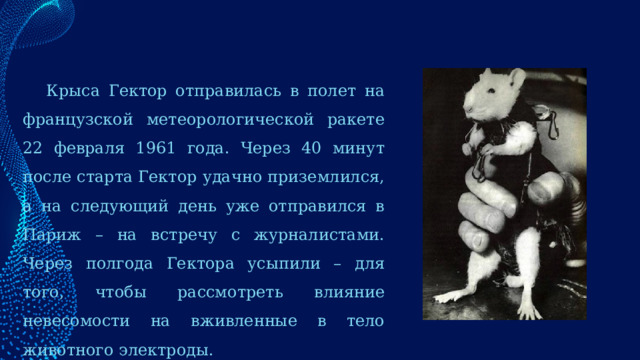 Крыса Гектор отправилась в полет на французской метеорологической ракете 22 февраля 1961 года. Через 40 минут после старта Гектор удачно приземлился, а на следующий день уже отправился в Париж – на встречу с журналистами. Через полгода Гектора усыпили – для того, чтобы рассмотреть влияние невесомости на вживленные в тело животного электроды. 