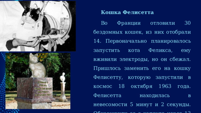 Кошка Фелисетта Во Франции отловили 30 бездомных кошек, из них отобрали 14. Первоначально планировалось запустить кота Феликса, ему вживили электроды, но он сбежал. Пришлось заменить его на кошку Фелисетту, которую запустили в космос 18 октября 1963 года. Фелисетта находилась в невесомости 5 минут и 2 секунды. Обнаружили ее в капсуле через 13 минут после старта. Кошка чувствовала себя отлично и шагнула к славе . 