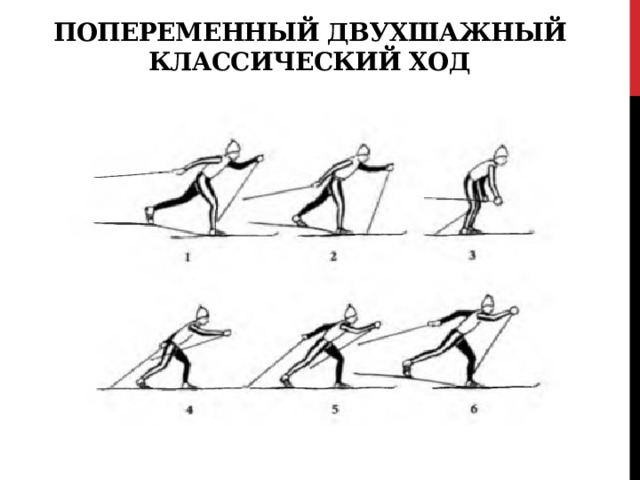 Попеременный двухшажный классический ход 