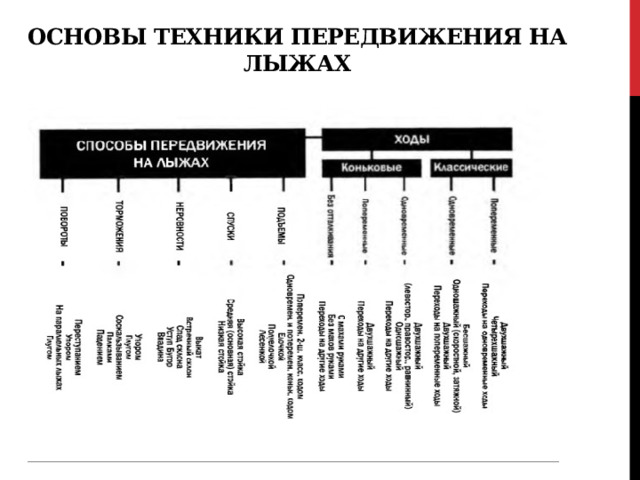 Основы техники передвижения на лыжах 