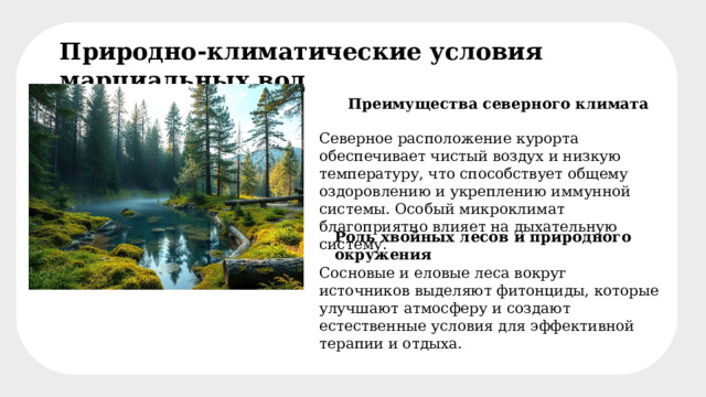 Природно-климатические условия марциальных вод Преимущества северного климата Северное расположение курорта обеспечивает чистый воздух и низкую температуру, что способствует общему оздоровлению и укреплению иммунной системы. Особый микроклимат благоприятно влияет на дыхательную систему. Роль хвойных лесов и природного окружения Сосновые и еловые леса вокруг источников выделяют фитонциды, которые улучшают атмосферу и создают естественные условия для эффективной терапии и отдыха. 
