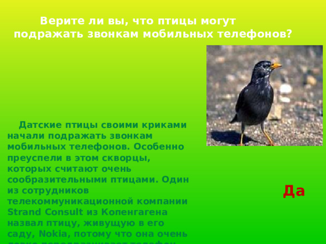  Верите ли вы, что птицы могут подражать звонкам мобильных телефонов?   Датские птицы своими криками начали подражать звонкам мобильных телефонов. Особенно преуспели в этом скворцы, которых считают очень сообразительными птицами. Один из сотрудников телекоммуникационной компании Strand Consult из Копенгагена назвал птицу, живущую в его саду, Nokia, потому что она очень ловко передразнивает телефон упомянутой марки.  Да 