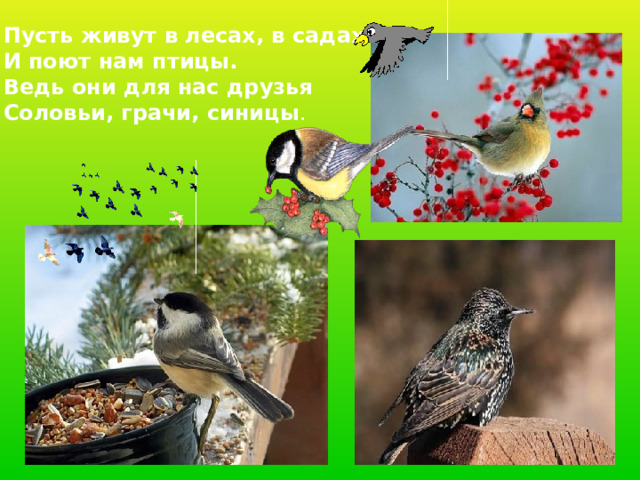 Пусть живут в лесах, в садах И поют нам птицы. Ведь они для нас друзья Соловьи, грачи, синицы . 