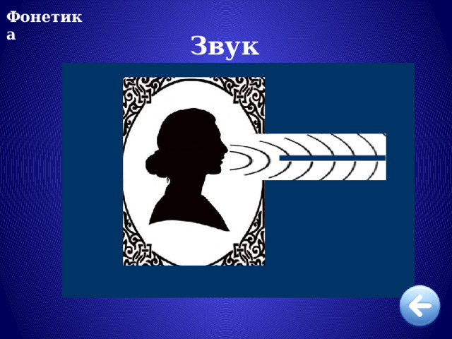 Фонетика Звук 