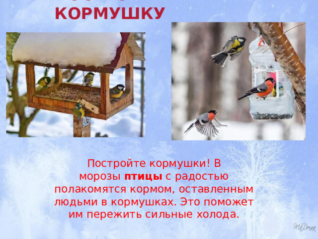 ПОСТРОЙ КОРМУШКУ Постройте кормушки! В морозы  птицы  с радостью полакомятся кормом, оставленным людьми в кормушках. Это поможет им пережить сильные холода. 