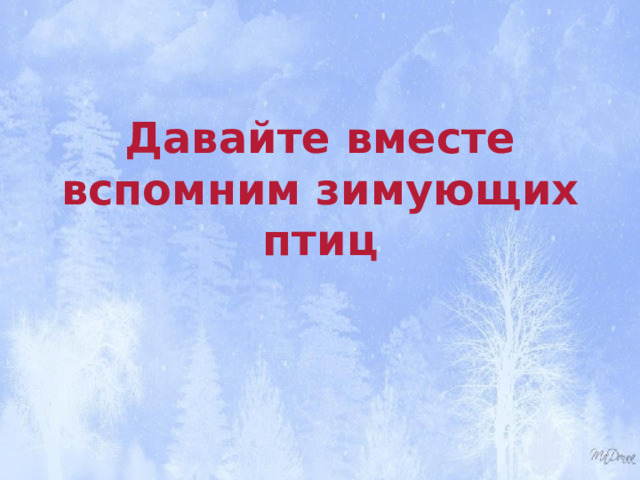 Давайте вместе вспомним зимующих птиц 