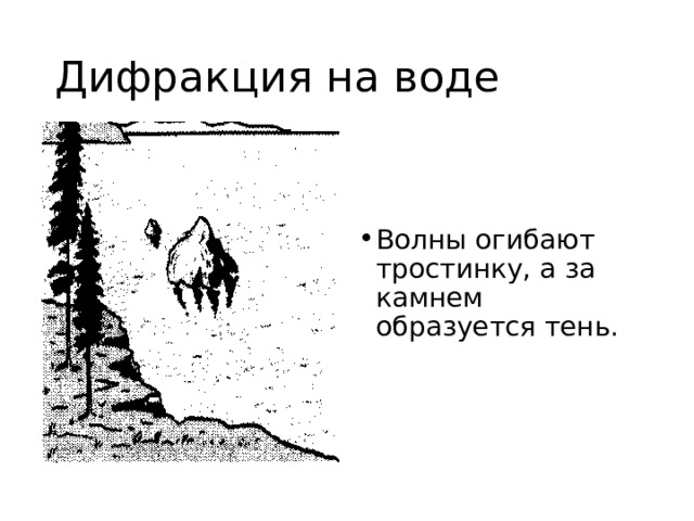 Дифракция на воде Волны огибают тростинку, а за камнем образуется тень. 