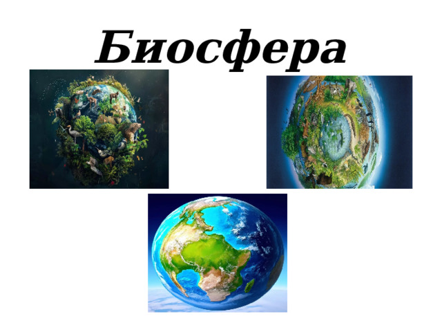 Биосфера 