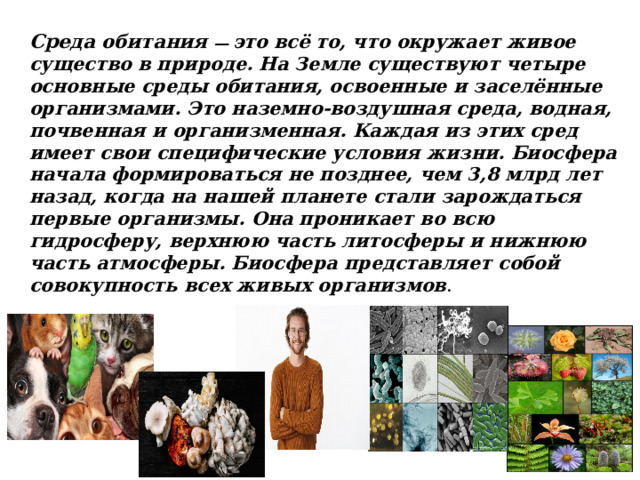 Среда обитания ― это всё то, что окружает живое существо в природе. На Земле существуют четыре основные среды обитания, освоенные и заселённые организмами. Это наземно-воздушная среда, водная, почвенная и организменная. Каждая из этих сред имеет свои специфические условия жизни. Биосфера начала формироваться не позднее, чем 3,8 млрд лет назад, когда на нашей планете стали зарождаться первые организмы. Она проникает во всю гидросферу, верхнюю часть литосферы и нижнюю часть атмосферы. Биосфера представляет собой совокупность всех живых организмов . 